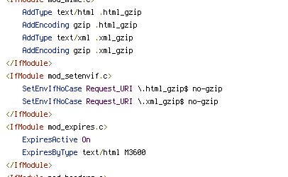 no-gzip, Pragma, REQUEST_URI