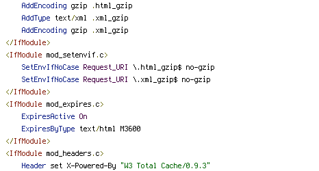 no-gzip, Pragma, REQUEST_URI