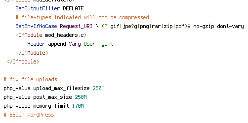 DEFLATE, no-gzip, REQUEST_URI