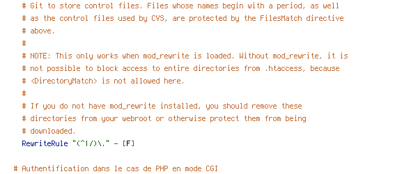 HTTP_HOST, HTTPS, no-gzip, REQUEST_FILENAME, REQUEST_URI