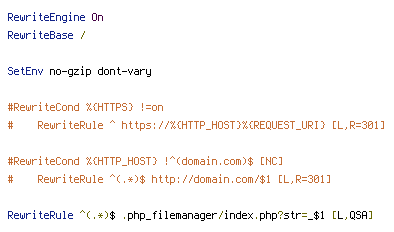 HTTP_HOST, HTTPS, no-gzip, REQUEST_URI