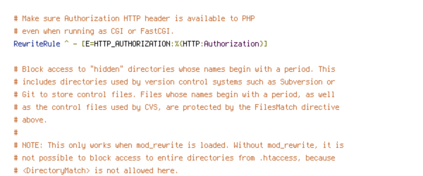 ENV, HTTP_HOST, HTTPS, no-gzip, protossl, REQUEST_FILENAME, REQUEST_URI