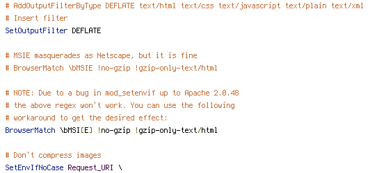 DEFLATE, no-gzip, REQUEST_URI