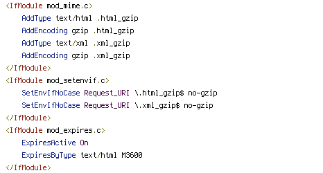 no-gzip, Pragma, REQUEST_URI