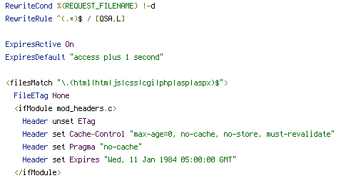 no-cache, Pragma, REQUEST_FILENAME