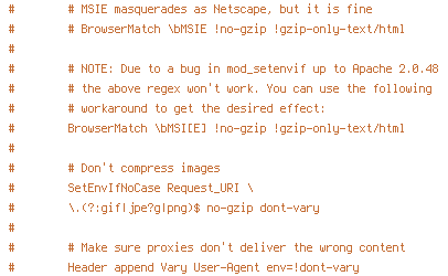 DEFLATE, no-gzip, REQUEST_URI