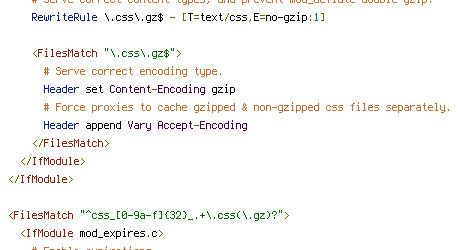 no-gzip, Pragma, REQUEST_FILENAME