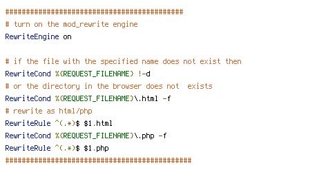 HTTP_HOST, REQUEST_FILENAME