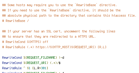 HTTP_HOST, HTTPS, REQUEST_FILENAME, REQUEST_URI