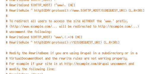 ENV, HTTP_HOST, HTTPS, no-gzip, protossl, REQUEST_FILENAME, REQUEST_URI