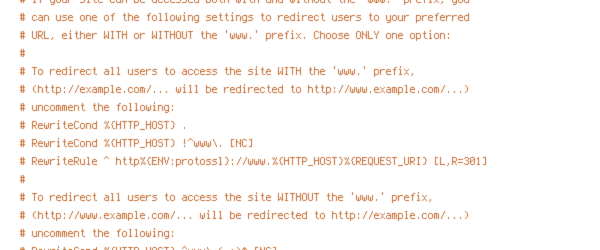 ENV, HTTP_HOST, HTTPS, no-gzip, protossl, REQUEST_FILENAME, REQUEST_URI, static