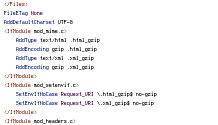 no-gzip, REQUEST_URI