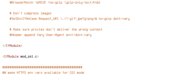 DEFLATE, HTTP_USER_AGENT, HTTPS, no-gzip, ORIGIN, POST, REQUEST_FILENAME, REQUEST_METHOD, REQUEST_URI