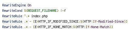 If-Modified-Since, If-None-Match, REQUEST_FILENAME