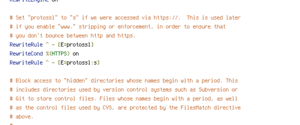 ENV, HTTP_HOST, HTTPS, no-gzip, protossl, REQUEST_FILENAME, REQUEST_URI