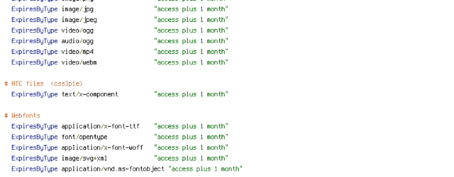 DEFLATE, force-no-vary, HTTP_HOST, HTTPS, INCLUDES, REQUEST_FILENAME, REQUEST_URI, SCRIPT_FILENAME, SERVER_PORT, static, TIME