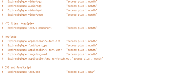 DEFLATE, force-no-vary, HTTP_HOST, HTTPS, INCLUDES, REQUEST_FILENAME, REQUEST_URI, SCRIPT_FILENAME, SERVER_PORT, static, TIME