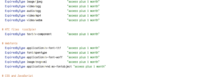 DEFLATE, ENV, force-no-vary, HTTP_HOST, HTTPS, INCLUDES, REQUEST_FILENAME, REQUEST_URI, SCRIPT_FILENAME, SERVER_PORT, static, THE_REQUEST, TIME, X-Requested-With