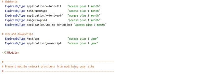 DEFLATE, ENV, force-no-vary, HTTP_HOST, HTTPS, INCLUDES, REQUEST_FILENAME, REQUEST_URI, SCRIPT_FILENAME, SERVER_PORT, static, TIME