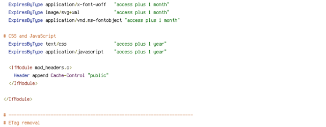 DEFLATE, force-no-vary, HTTP_HOST, HTTPS, INCLUDES, REQUEST_FILENAME, REQUEST_URI, SERVER_PORT, static, TIME