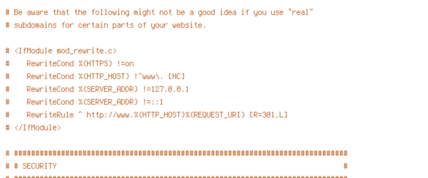 DEFLATE, HTTP_HOST, HTTPS, INCLUDES, REQUEST_FILENAME, REQUEST_URI, SCRIPT_FILENAME, SERVER_ADDR, SERVER_PORT, TIME