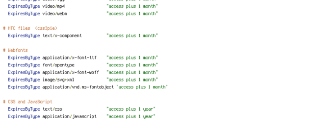 DEFLATE, force-no-vary, HTTP_HOST, HTTPS, INCLUDES, REQUEST_FILENAME, REQUEST_URI, SCRIPT_FILENAME, SERVER_PORT, static, TIME