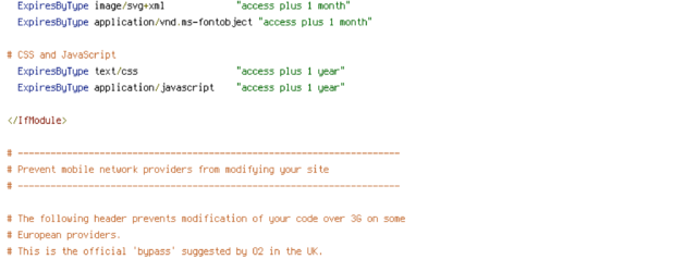 CONTENT_TYPE, DEFLATE, force-no-vary, HTTP_HOST, HTTPS, INCLUDES, REQUEST_FILENAME, REQUEST_URI, SCRIPT_FILENAME, SERVER_PORT, static, TIME