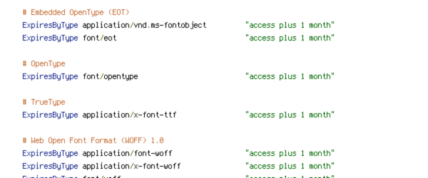 force-no-vary, HTTP_HOST, HTTPS, INCLUDES, REQUEST_FILENAME, REQUEST_URI, SERVER_PORT, static, TIME