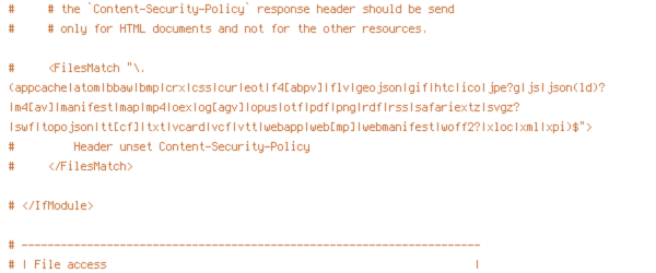 DEFLATE, ENV, HTTP_HOST, HTTPS, INCLUDES, ORIGIN, PROTO, REQUEST_FILENAME, REQUEST_URI, SCRIPT_FILENAME, SERVER_ADDR, TIME