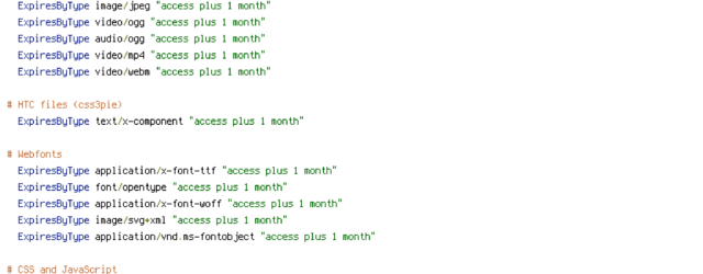 DEFLATE, force-no-vary, HTTP_HOST, HTTPS, INCLUDES, REQUEST_FILENAME, REQUEST_URI, SCRIPT_FILENAME, SERVER_PORT, static, TIME