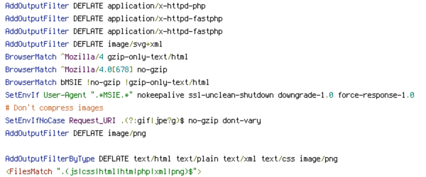 CONTENT_TYPE, DEFLATE, DOCUMENT_ROOT, downgrade-1.0, force-response-1.0, HTTP_HOST, no-cache, no-gzip, nokeepalive, ORIGIN, Pragma, QUERY_STRING, REQUEST_URI, SCRIPT_FILENAME, SERVER_ADMIN, TIME, TZ