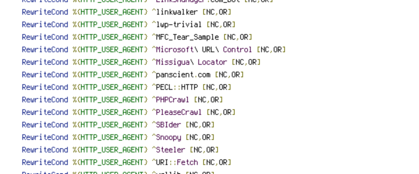 GET, HTTP_COOKIE, HTTP_REFERER, HTTP_USER_AGENT, POST, QUERY_STRING, REQUEST_FILENAME, REQUEST_METHOD, REQUEST_URI, SCRIPT_FILENAME