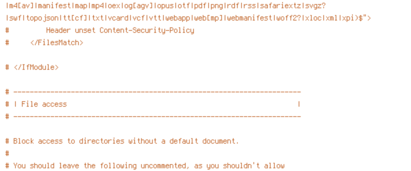 DEFLATE, ENV, HTTP_HOST, HTTPS, INCLUDES, ORIGIN, PROTO, REQUEST_FILENAME, REQUEST_URI, SCRIPT_FILENAME, SERVER_ADDR, TIME