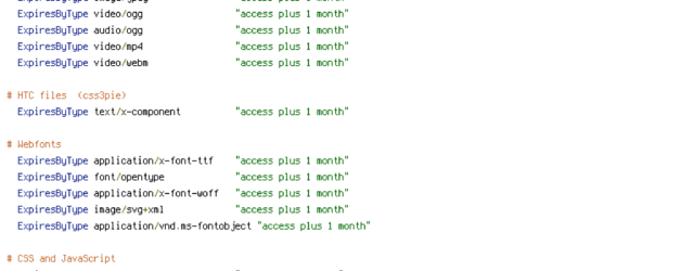 DEFLATE, force-no-vary, HTTP_HOST, HTTPS, INCLUDES, REQUEST_FILENAME, REQUEST_URI, SCRIPT_FILENAME, SERVER_PORT, static, TIME