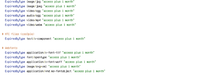 DEFLATE, force-no-vary, HTTP_HOST, HTTPS, INCLUDES, REQUEST_FILENAME, REQUEST_URI, SCRIPT_FILENAME, SERVER_PORT, static, TIME