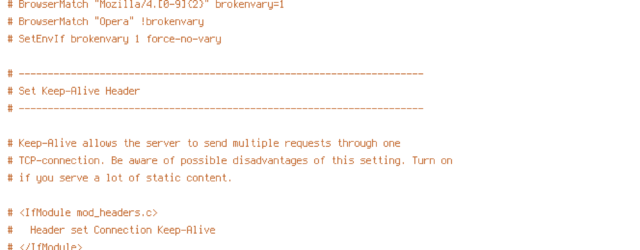 DEFLATE, force-no-vary, HTTP_HOST, HTTPS, INCLUDES, REQUEST_FILENAME, REQUEST_URI, SCRIPT_FILENAME, SERVER_PORT, static, TIME