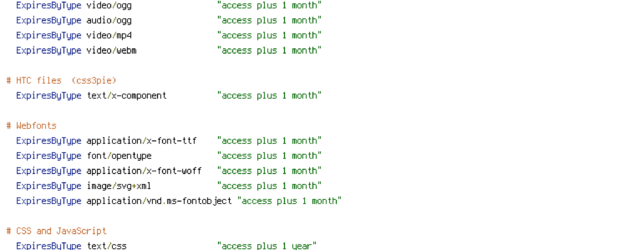 DEFLATE, force-no-vary, HTTP_HOST, HTTPS, INCLUDES, REQUEST_FILENAME, REQUEST_URI, SCRIPT_FILENAME, SERVER_PORT, static, TIME