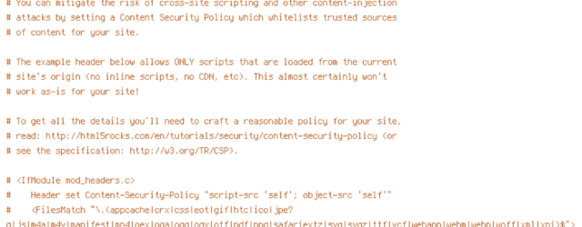 DEFLATE, force-no-vary, HTTP_HOST, HTTPS, INCLUDES, REQUEST_FILENAME, REQUEST_URI, SCRIPT_FILENAME, SERVER_PORT, static, TIME