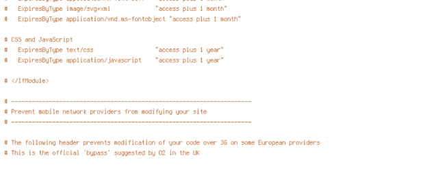 DEFLATE, force-no-vary, HTTP_HOST, HTTPS, INCLUDES, REQUEST_FILENAME, REQUEST_URI, SCRIPT_FILENAME, SERVER_PORT, static, TIME