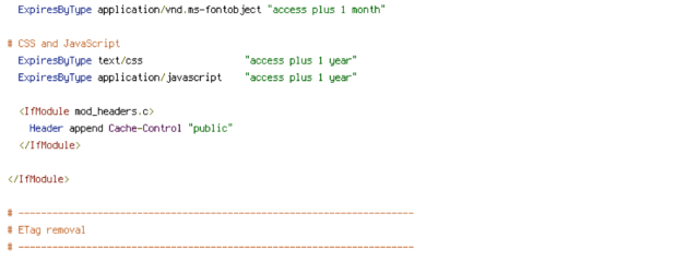 DEFLATE, force-no-vary, HTTP_HOST, HTTPS, INCLUDES, REQUEST_FILENAME, REQUEST_URI, SERVER_PORT, static, TIME